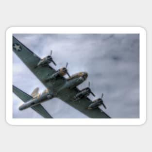 Sally B Over the Top Sticker